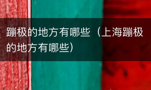 蹦极的地方有哪些（上海蹦极的地方有哪些）
