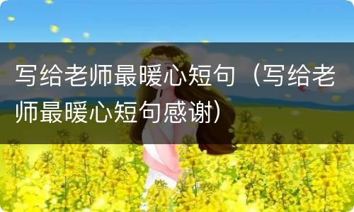 写给老师最暖心短句（写给老师最暖心短句感谢）