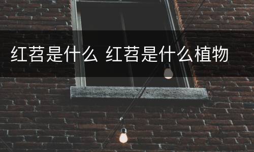红苕是什么 红苕是什么植物
