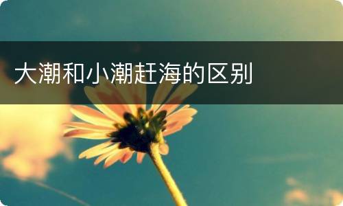 大潮和小潮赶海的区别