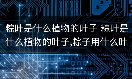 粽叶是什么植物的叶子 粽叶是什么植物的叶子,粽子用什么叶子包好?