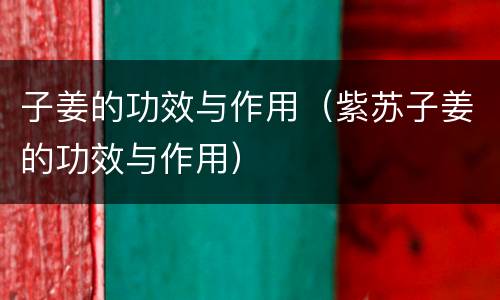 子姜的功效与作用（紫苏子姜的功效与作用）