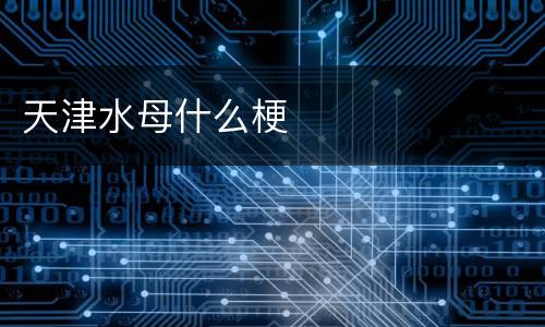天津水母什么梗