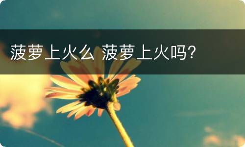菠萝上火么 菠萝上火吗?