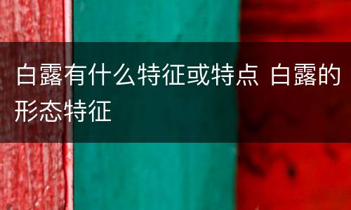 白露有什么特征或特点 白露的形态特征