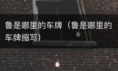 鲁是哪里的车牌（鲁是哪里的车牌缩写）