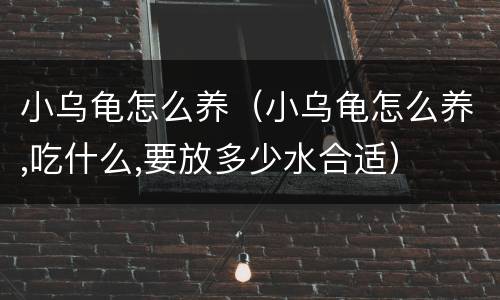 小乌龟怎么养（小乌龟怎么养,吃什么,要放多少水合适）