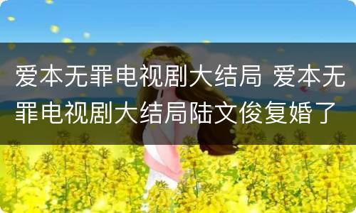 爱本无罪电视剧大结局 爱本无罪电视剧大结局陆文俊复婚了吗