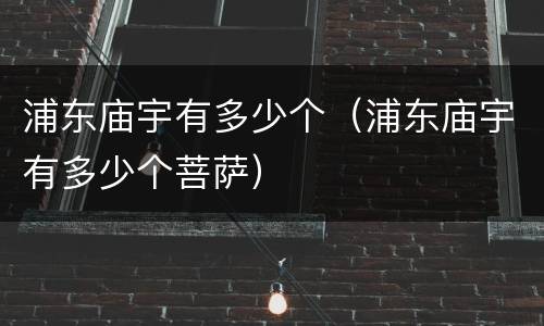 浦东庙宇有多少个（浦东庙宇有多少个菩萨）