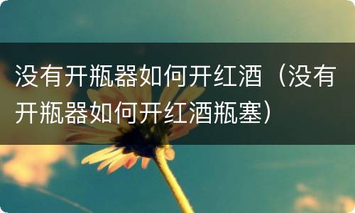 没有开瓶器如何开红酒（没有开瓶器如何开红酒瓶塞）