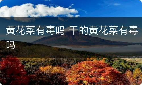 黄花菜有毒吗 干的黄花菜有毒吗