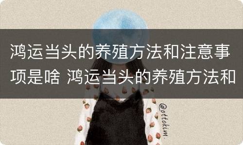 鸿运当头的养殖方法和注意事项是啥 鸿运当头的养殖方法和注意事项养殖日记