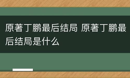 原著丁鹏最后结局 原著丁鹏最后结局是什么