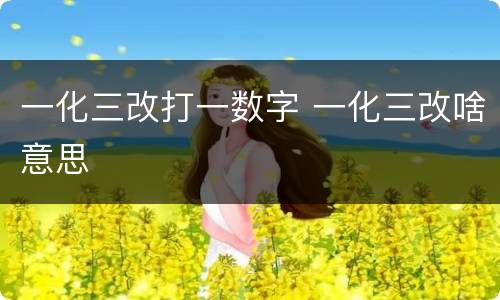 一化三改打一数字 一化三改啥意思
