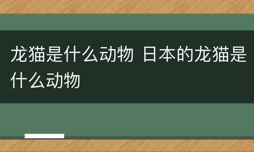 龙猫是什么动物 日本的龙猫是什么动物