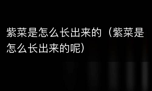 紫菜是怎么长出来的（紫菜是怎么长出来的呢）