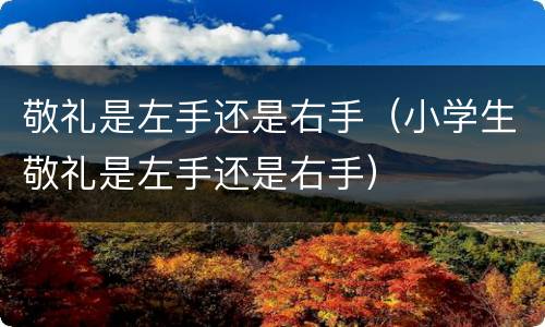 敬礼是左手还是右手（小学生敬礼是左手还是右手）