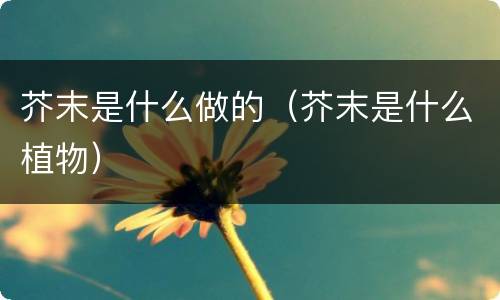 芥末是什么做的（芥末是什么植物）