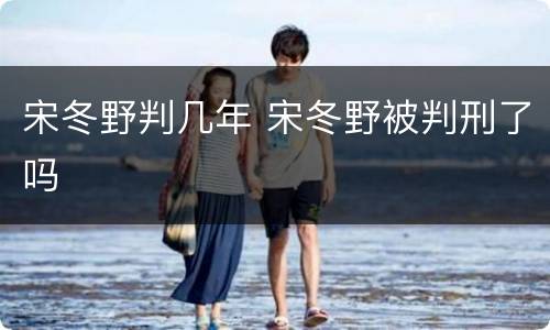 宋冬野判几年 宋冬野被判刑了吗