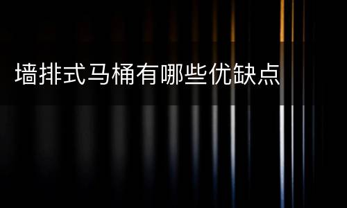 墙排式马桶有哪些优缺点