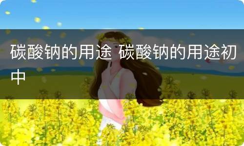 碳酸钠的用途 碳酸钠的用途初中