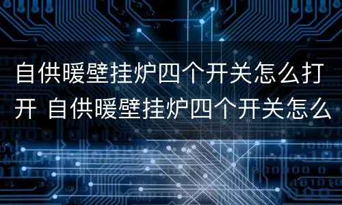 自供暖壁挂炉四个开关怎么打开 自供暖壁挂炉四个开关怎么打开的