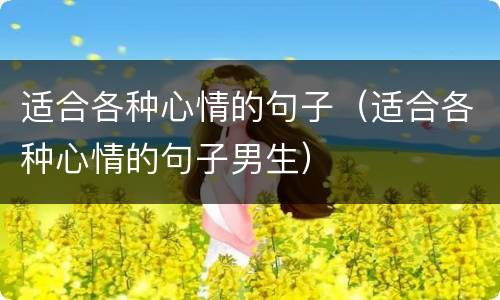 适合各种心情的句子（适合各种心情的句子男生）