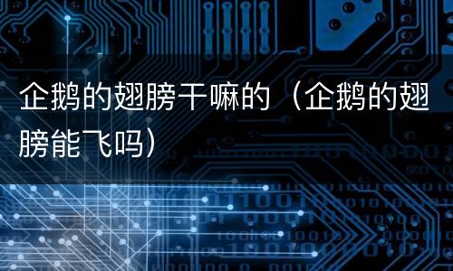 企鹅的翅膀干嘛的（企鹅的翅膀能飞吗）