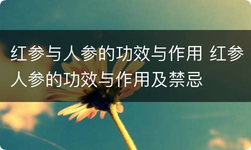 红参与人参的功效与作用 红参人参的功效与作用及禁忌