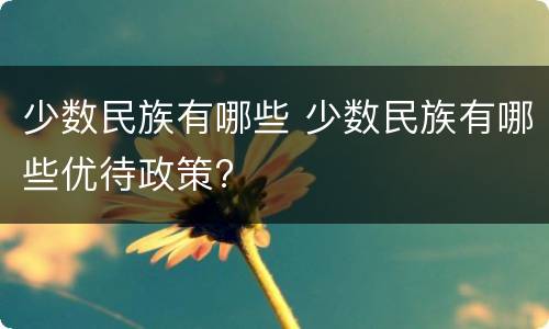 少数民族有哪些 少数民族有哪些优待政策?