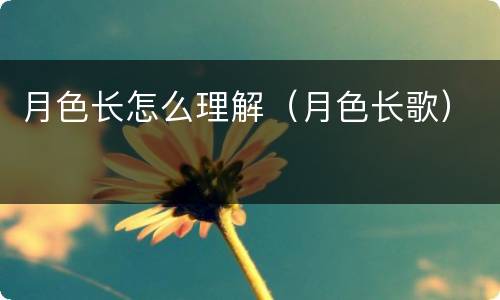 月色长怎么理解（月色长歌）