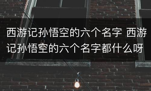 西游记孙悟空的六个名字 西游记孙悟空的六个名字都什么呀