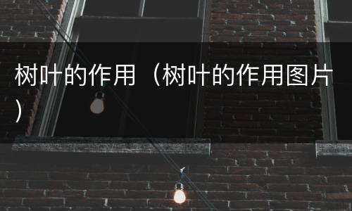 树叶的作用（树叶的作用图片）