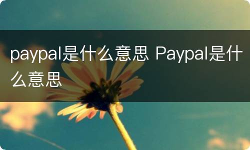 paypal是什么意思 Paypal是什么意思