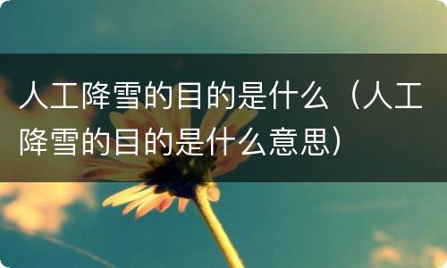 人工降雪的目的是什么（人工降雪的目的是什么意思）