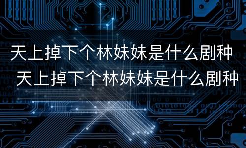 天上掉下个林妹妹是什么剧种 天上掉下个林妹妹是什么剧种的剧目名字