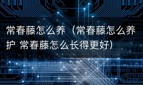 常春藤怎么养（常春藤怎么养护 常春藤怎么长得更好）