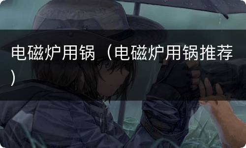 电磁炉用锅（电磁炉用锅推荐）