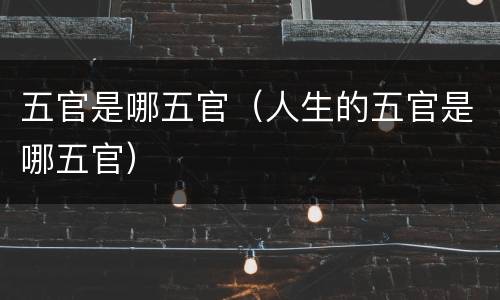 五官是哪五官（人生的五官是哪五官）