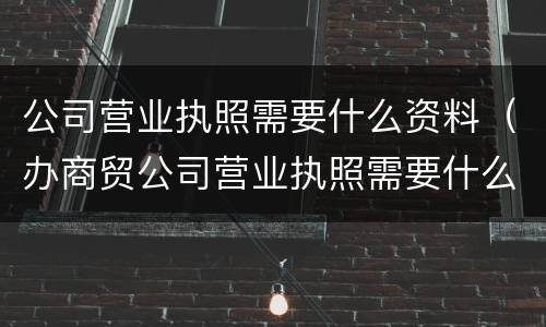 公司营业执照需要什么资料（办商贸公司营业执照需要什么资料）