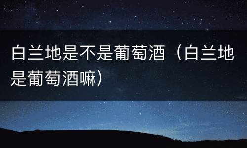 白兰地是不是葡萄酒（白兰地是葡萄酒嘛）