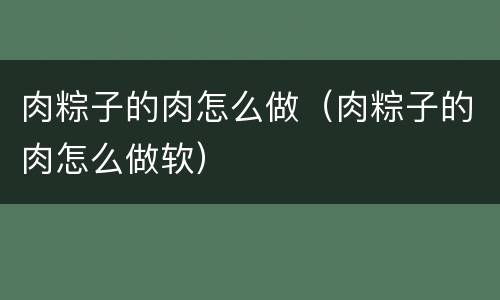 肉粽子的肉怎么做（肉粽子的肉怎么做软）