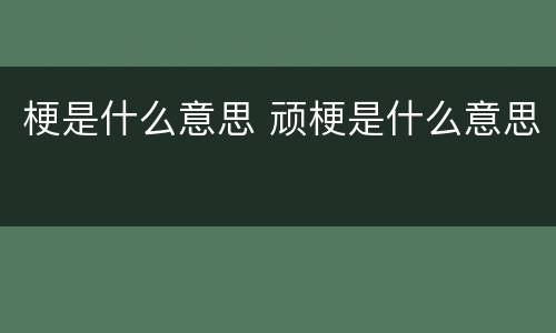 梗是什么意思 顽梗是什么意思