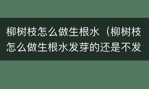 柳树枝怎么做生根水（柳树枝怎么做生根水发芽的还是不发芽的）