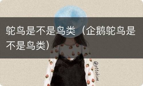 鸵鸟是不是鸟类（企鹅鸵鸟是不是鸟类）