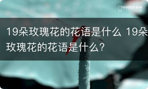 19朵玫瑰花的花语是什么 19朵玫瑰花的花语是什么?
