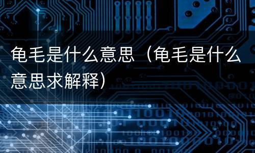 龟毛是什么意思（龟毛是什么意思求解释）