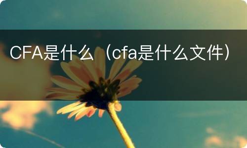 CFA是什么（cfa是什么文件）