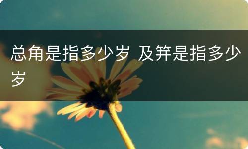 总角是指多少岁 及笄是指多少岁