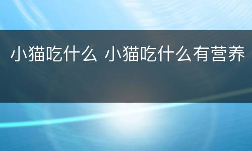 小猫吃什么 小猫吃什么有营养